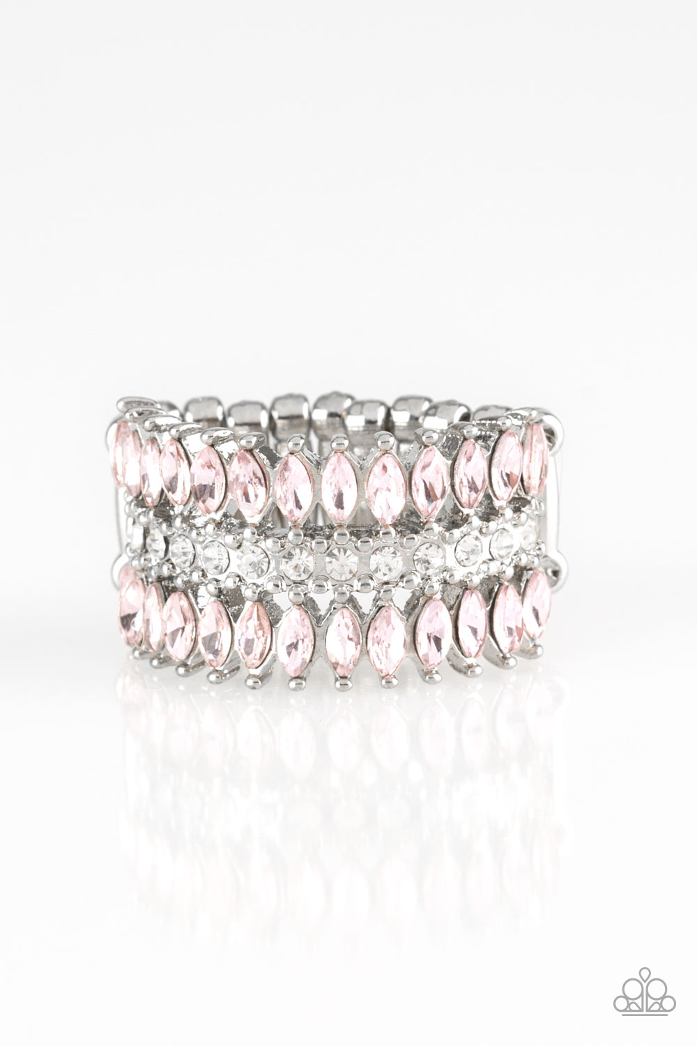 Treasury Fund - Pink (R548)