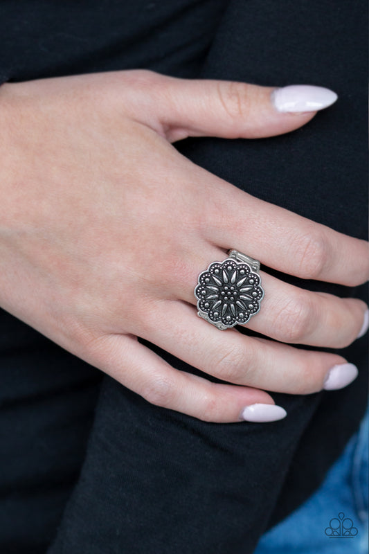 Desert Sunflower - Silver (R821)