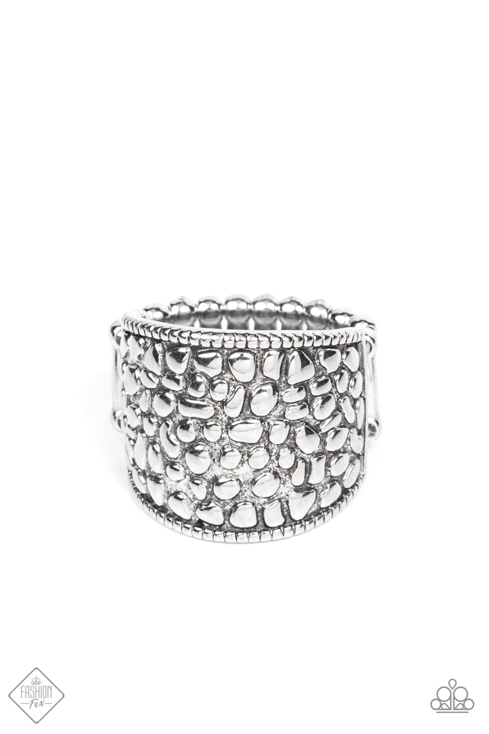 Dotted Decorum - Silver (R654)